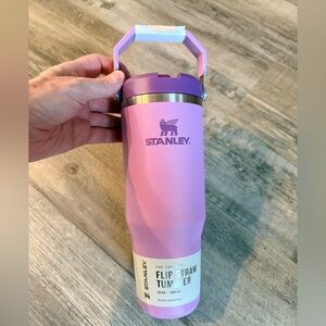 Stanley IceFlow 30 oz Lilac BPA Free Insulated Straw Tumbler. NEW